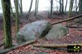 Findling 1 bei Haselberg nahe Wierzen in der Märkischen Schweiz, Brandenburg, (D) (4) 24. Januar 2016.JPG